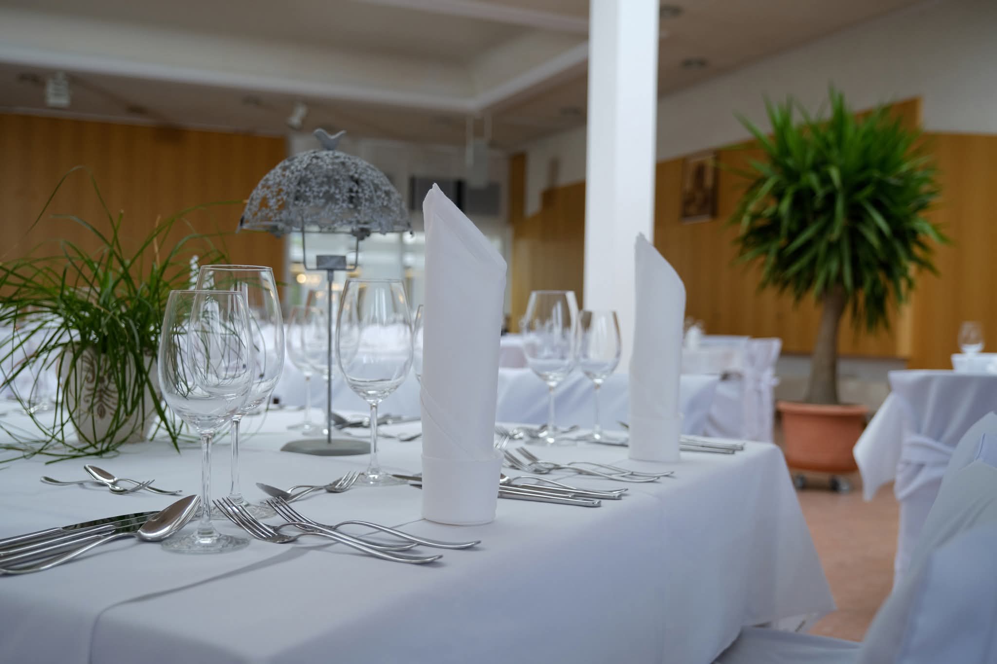 1000064156 Schumm Forum zum Anlass buchen
